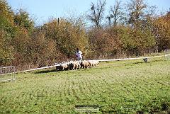 Kjp_2870