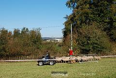 Kjp_3346