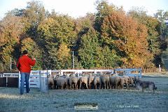 Kjp_2734