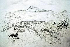 MP_Auvergne08_2
