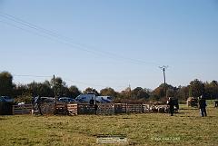 Kjp_2974