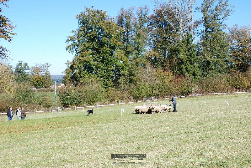 Kjp_3196.jpg