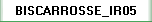 BISCARROSSE_IR05