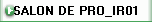 SALON DE PRO_IR01
