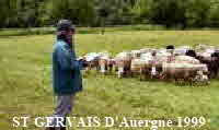 db_ch_99011