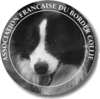 logo_afbc logo_afbc
